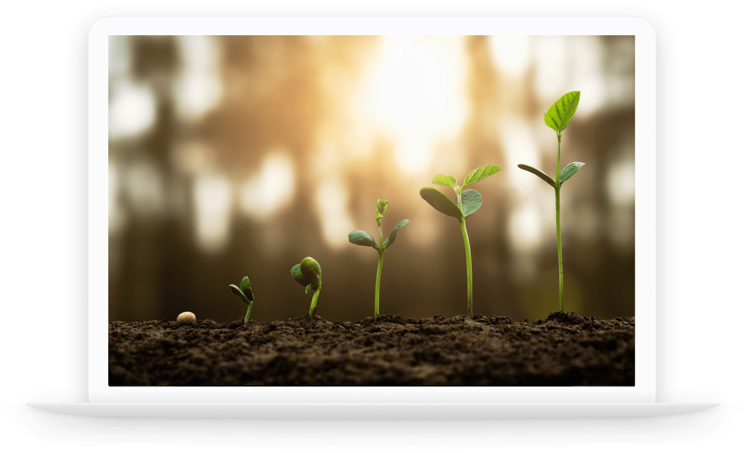 Nurturing Growth new